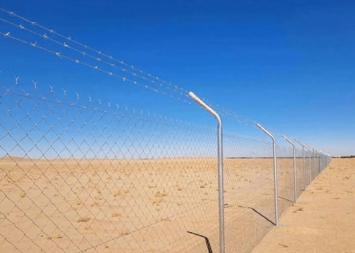 photo 2025 08 29 11 36 06